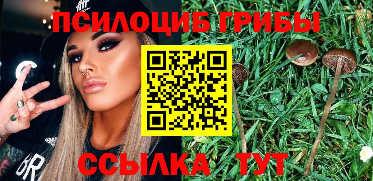 Туймазы  Псилоцибиновые грибы GOLDEN TEACHER  Вход с VPN  купить наркотик  Псилоцибиновые грибы мицелий 