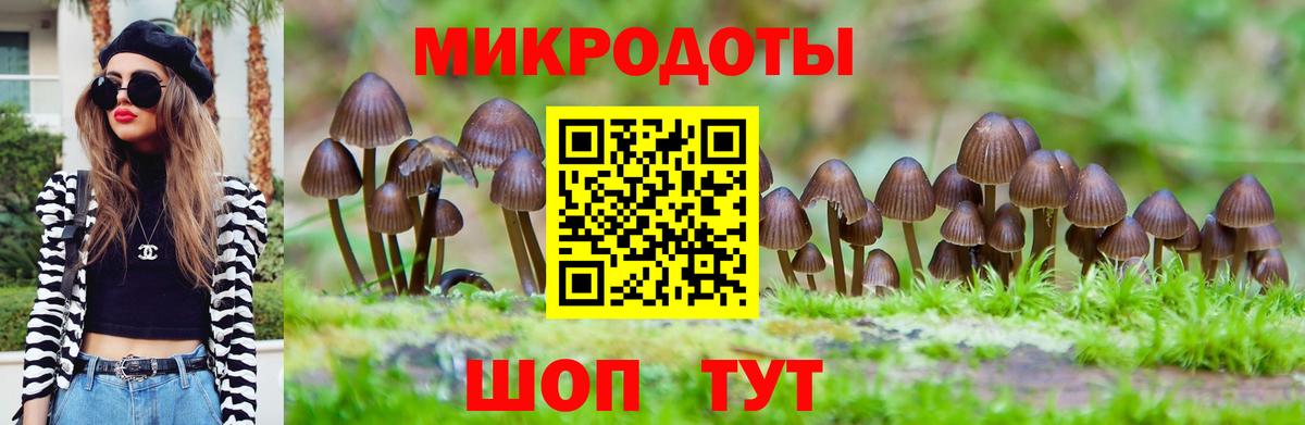 Псилоцибиновые грибы Psilocybine cubensis Туймазы